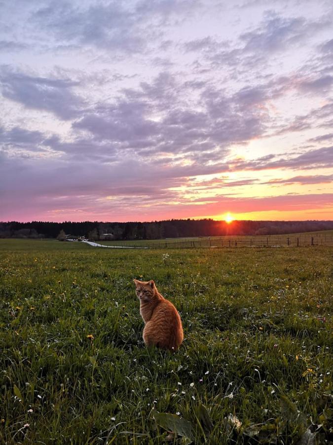 Reithamer Bergfensterl Warngau ภายนอก รูปภาพ